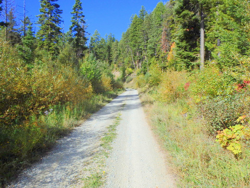 The beginning of Fall foliage change.